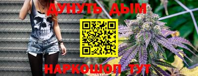 гидропоника Аша