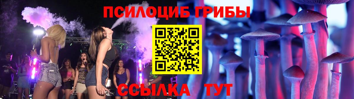 Скопин  Псилоцибиновые грибы Psilocybine cubensis  Вход с VPN 